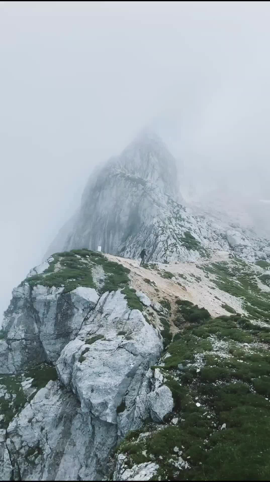 @Alina Luna