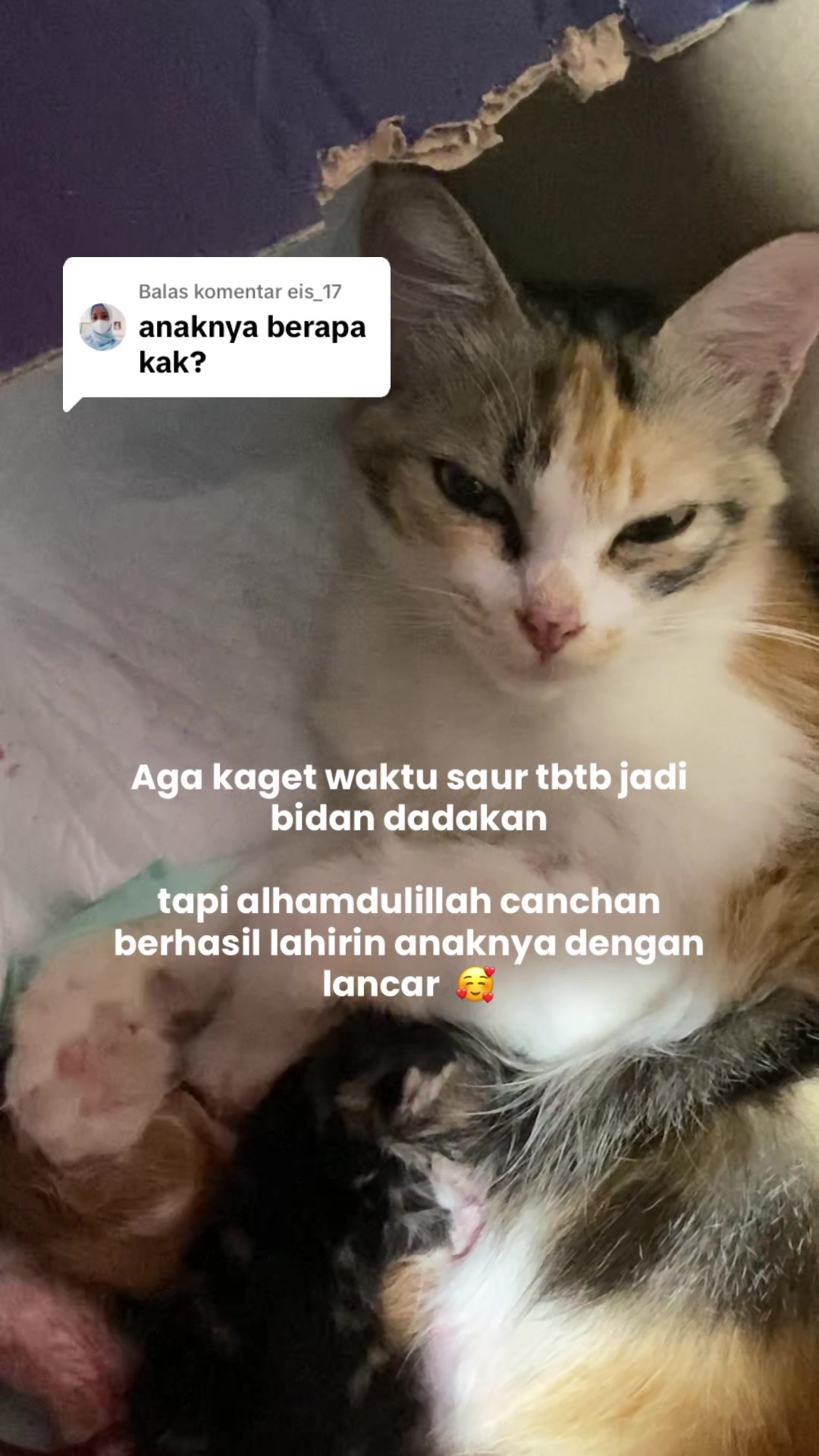 @Cikchubwa