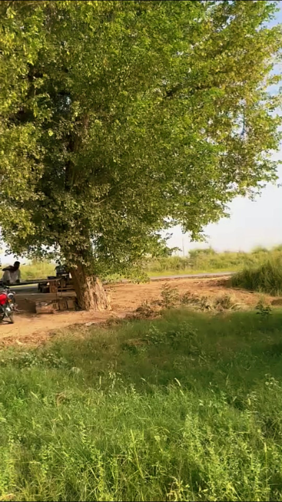 @⚔️🚔 ملک صاحب 🚔⚔️