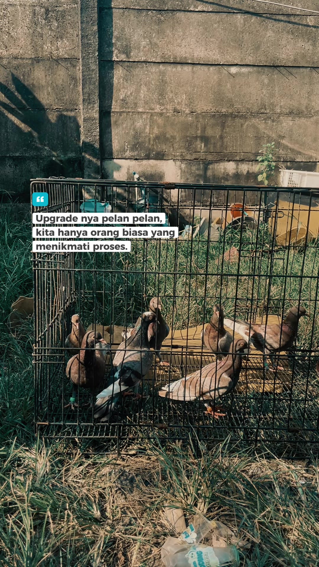 @Z V A 36 Merpati Reborn 🕊️🕊️