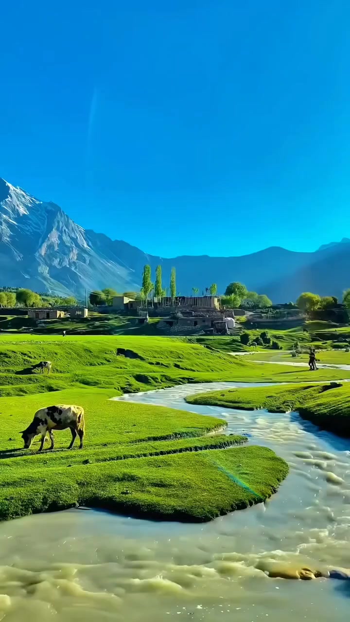 @Lionghoaho