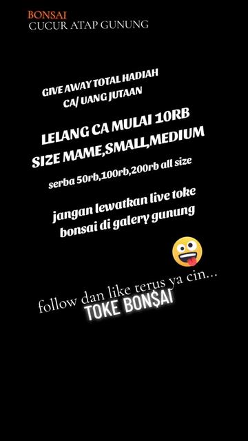 @Toke bonsai galeri