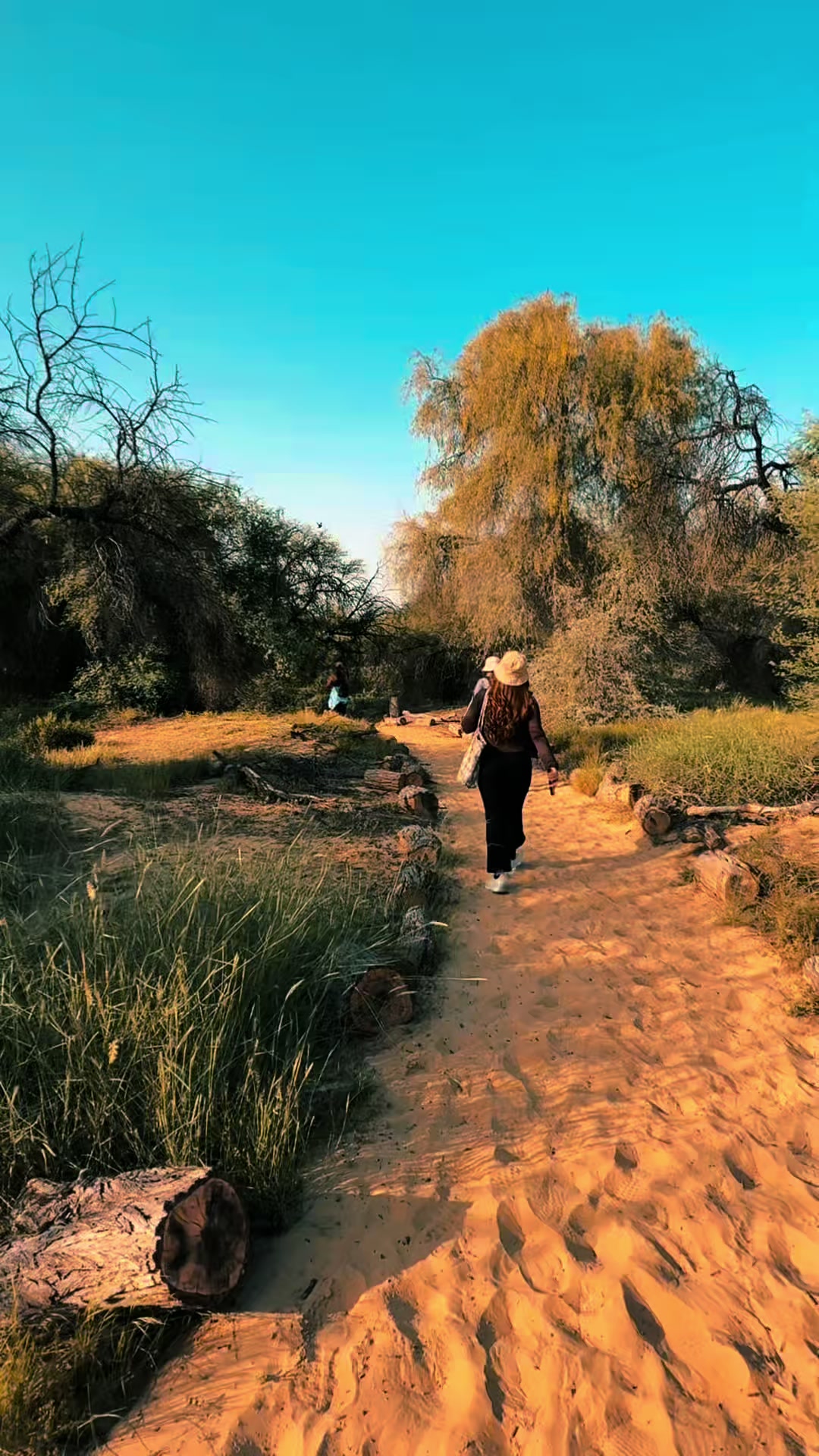 @🧚♀️🌸SunsHinee🌼🦋