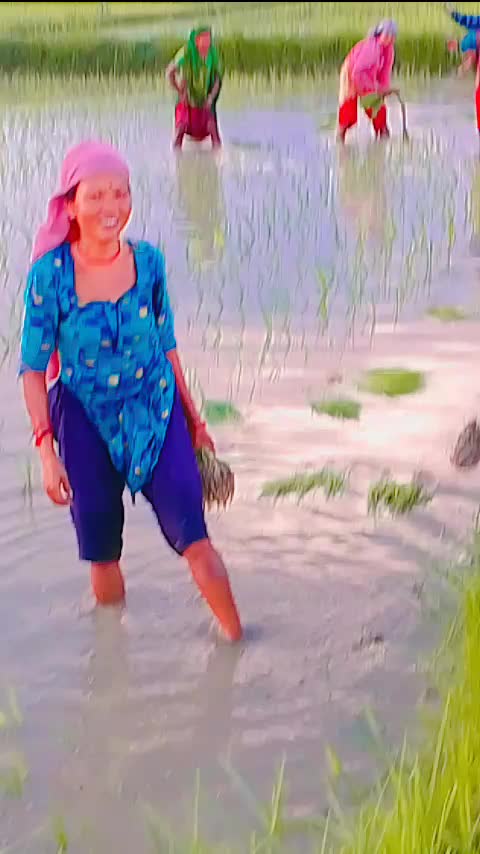 @🫂Riyanshu bubu 😘❤️