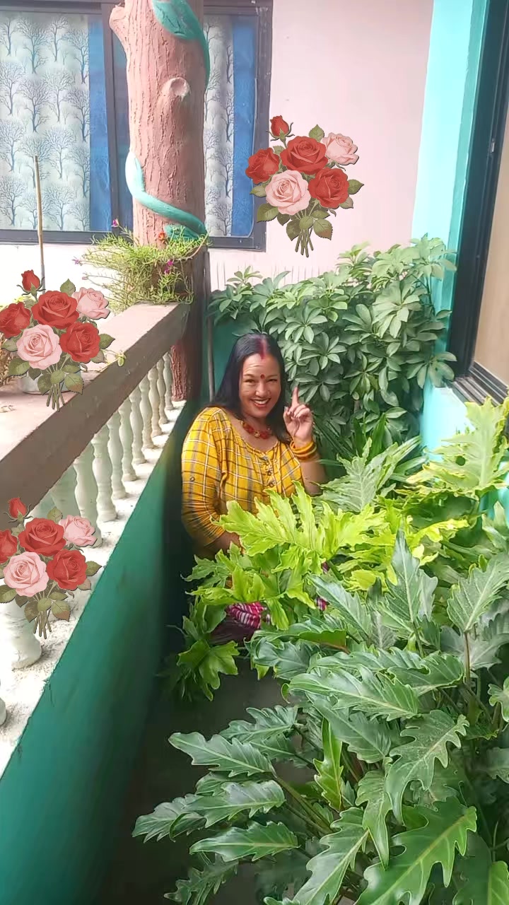 @Januka Karki