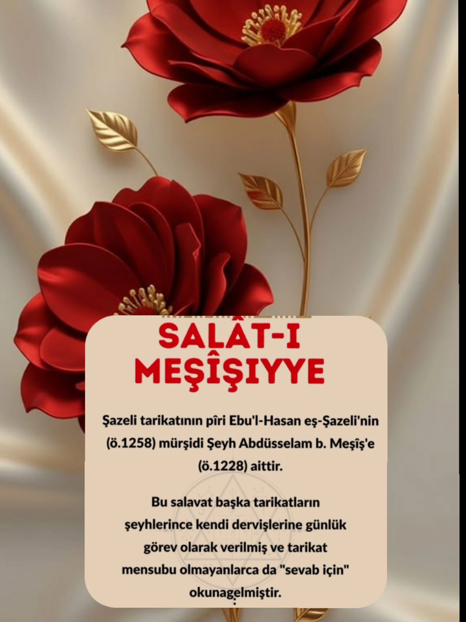 @hayat nereye gidiyor