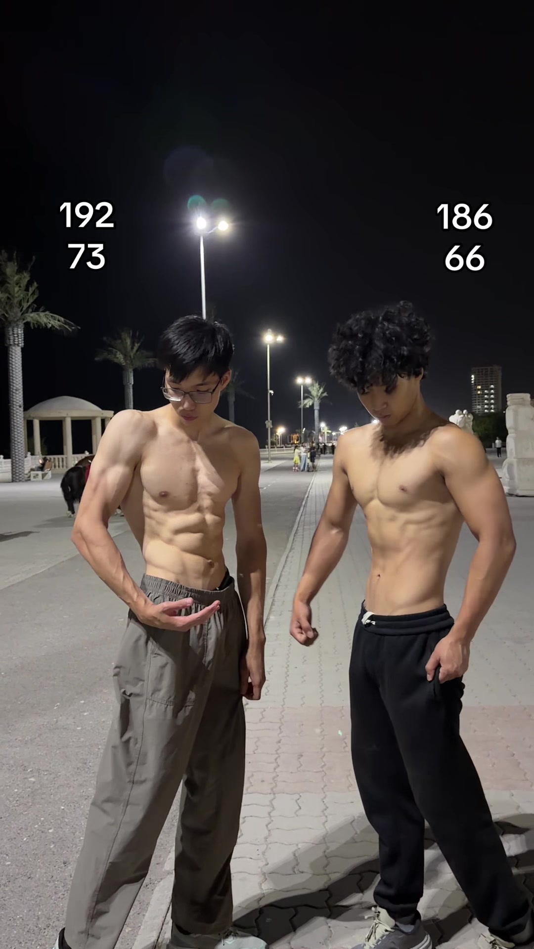 @Мансур торс🇪🇬
