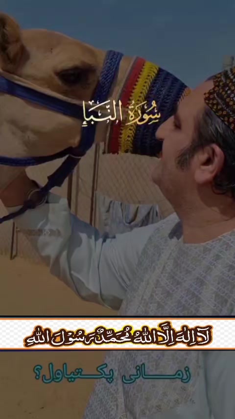 @Zamani Group Trading 🇦🇫