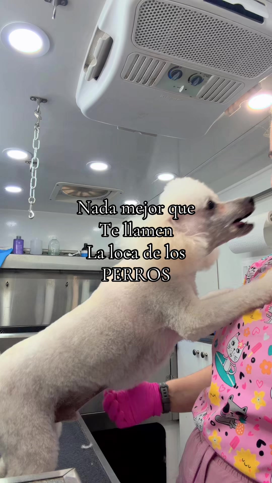 @Krazypaws🐾