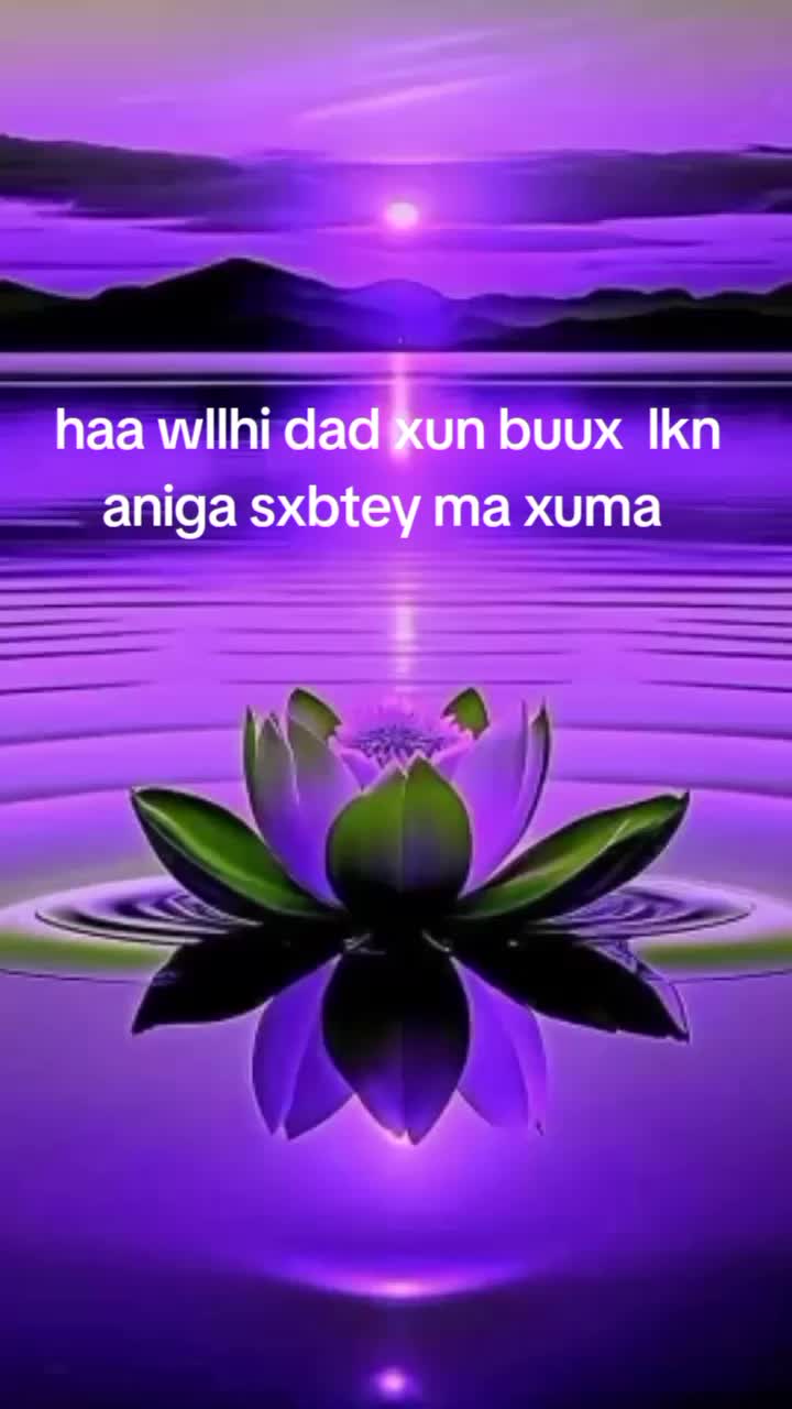 @amran aden