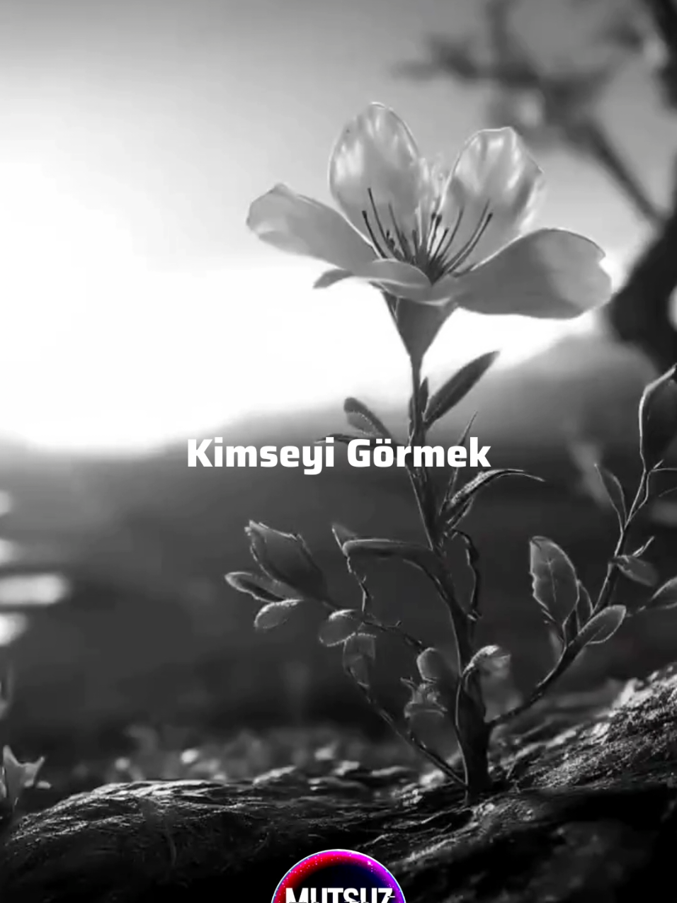 @Mutsuz Demir