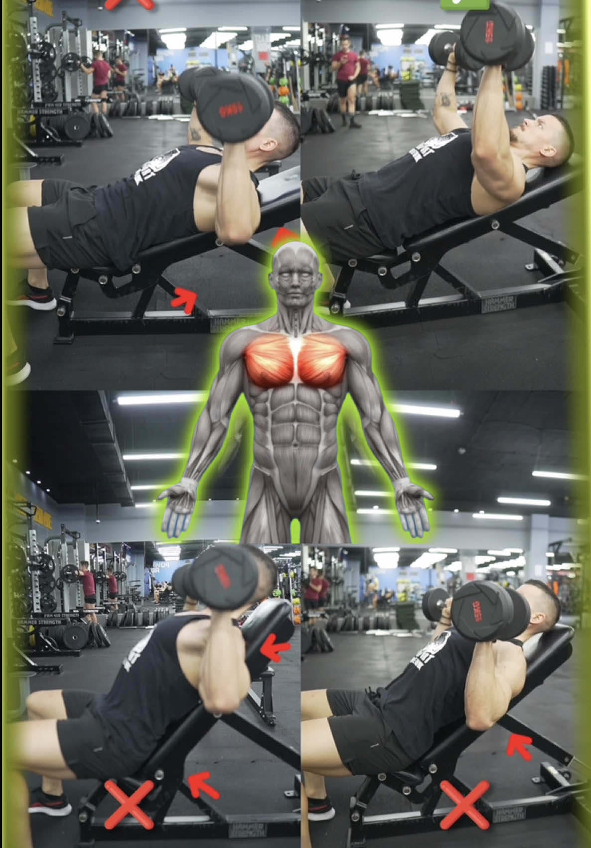@Srdjan Mitić l Gym Saveti