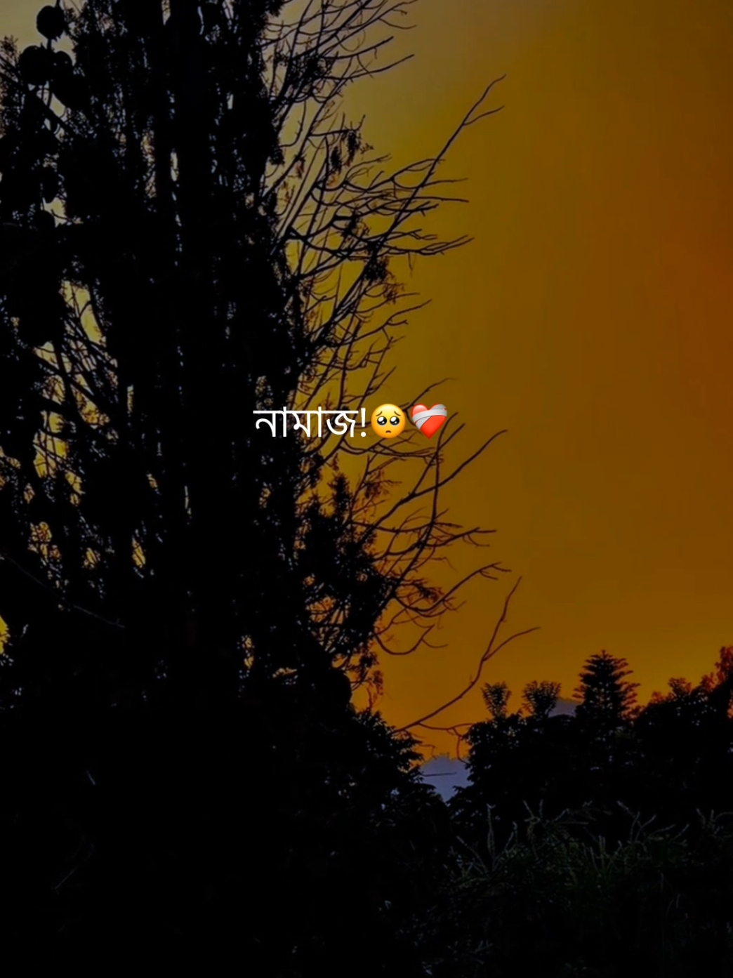 @M E R A J ♡