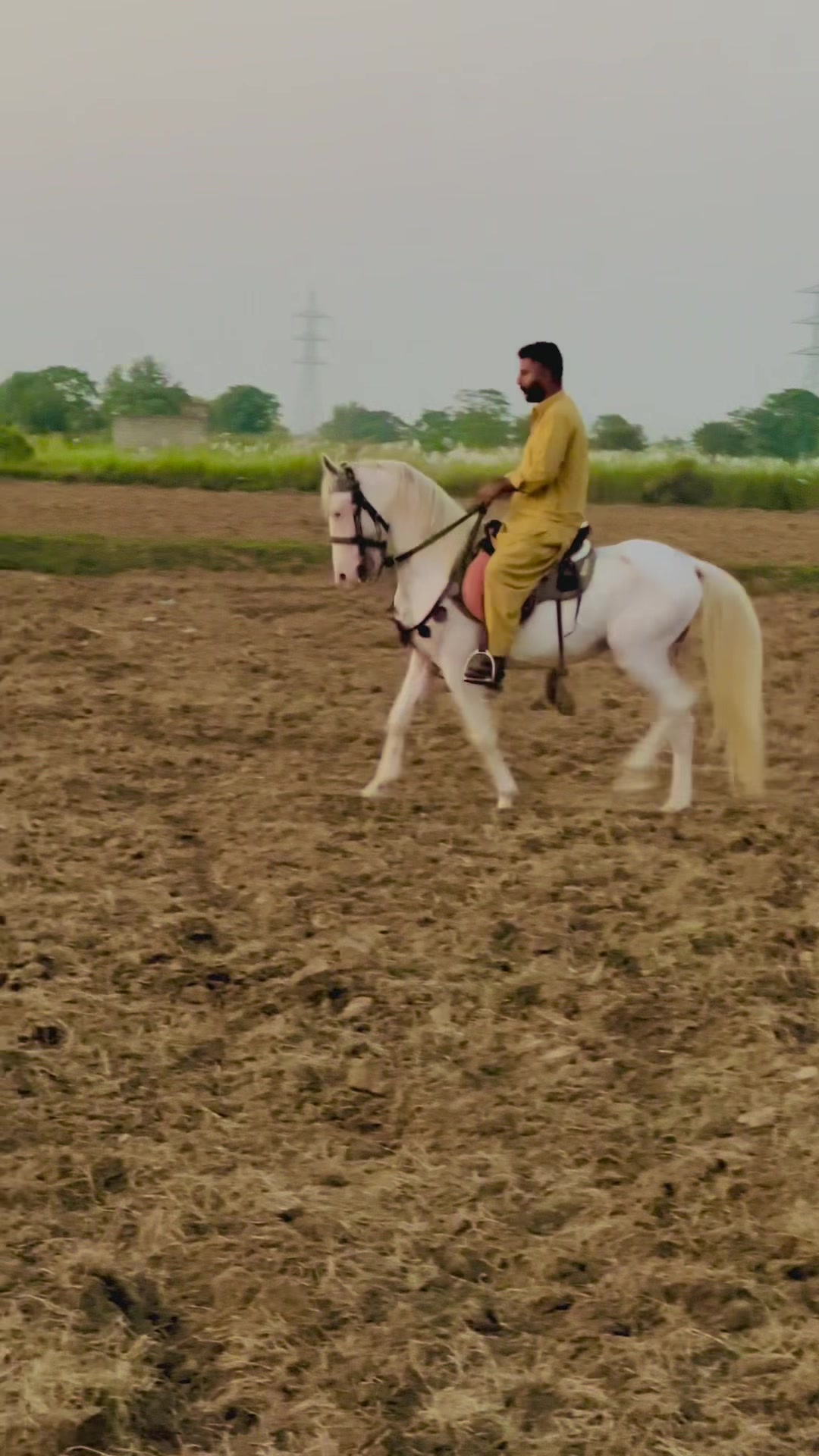 @🦅Ch-Asjad-Ali-Saidagoll🐎