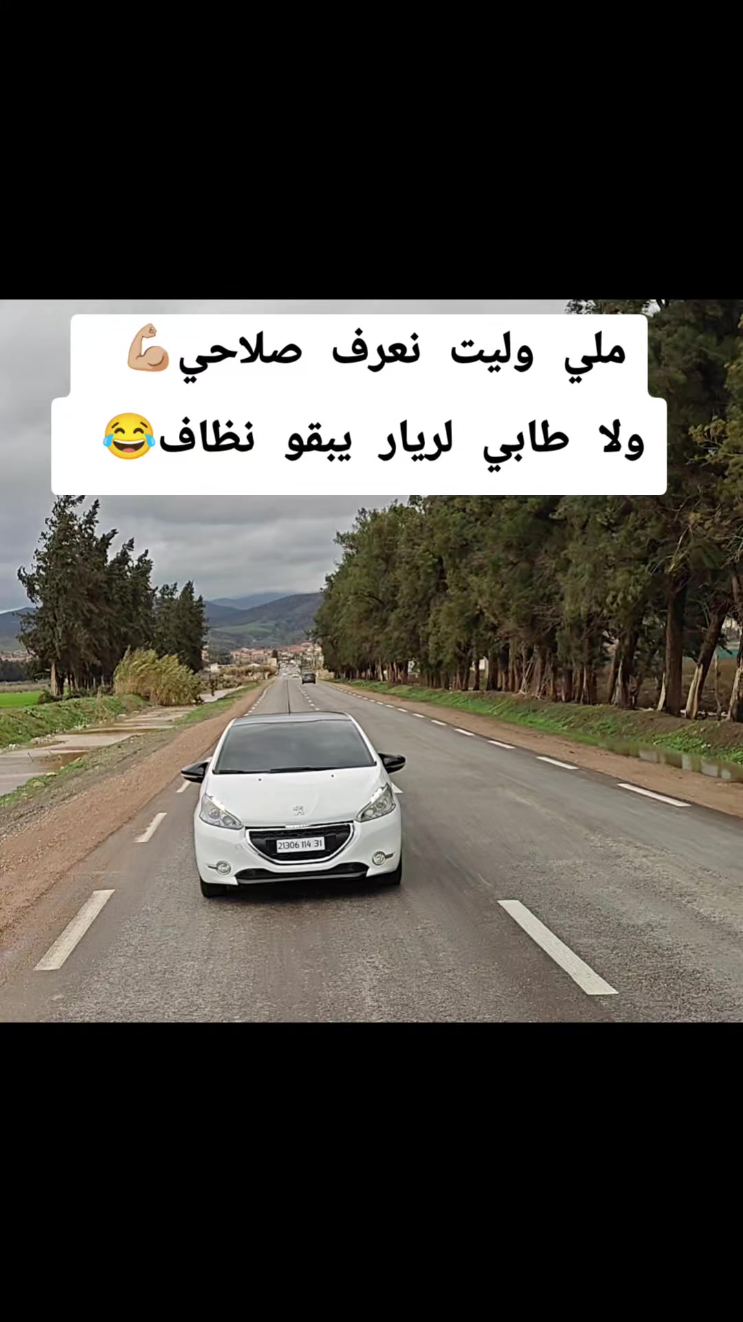 @Hmida Atou 208