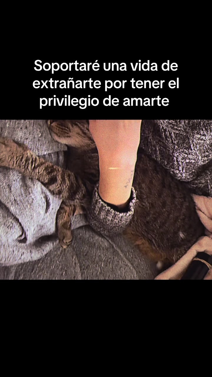 @Anto Teves