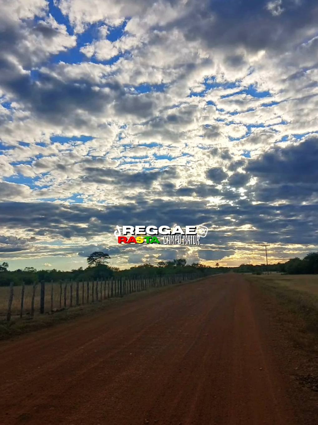 @REGGAE RASTA CM