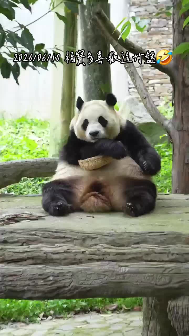@福寶需要愛的抱抱