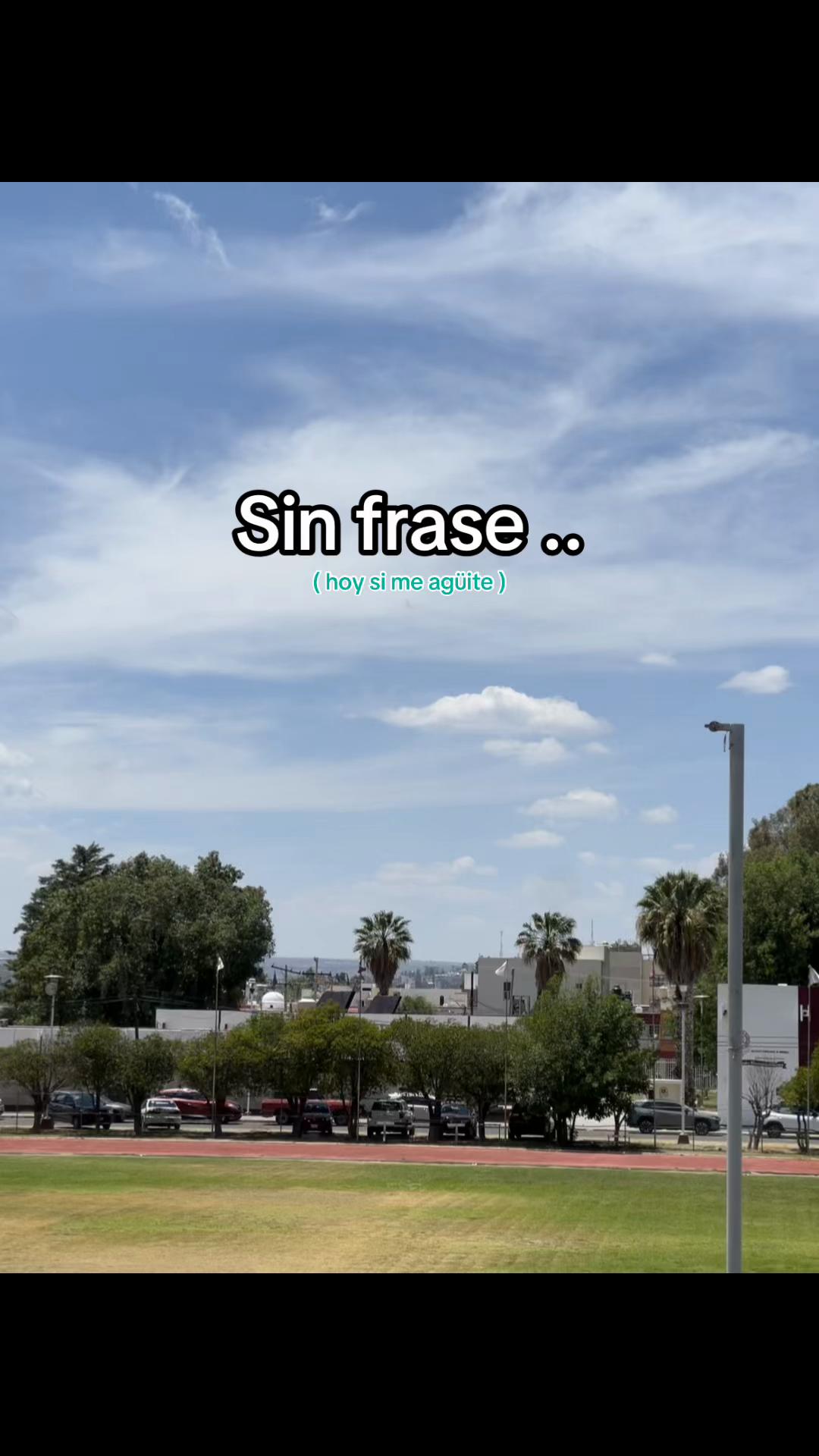 @MEMIN 🦧