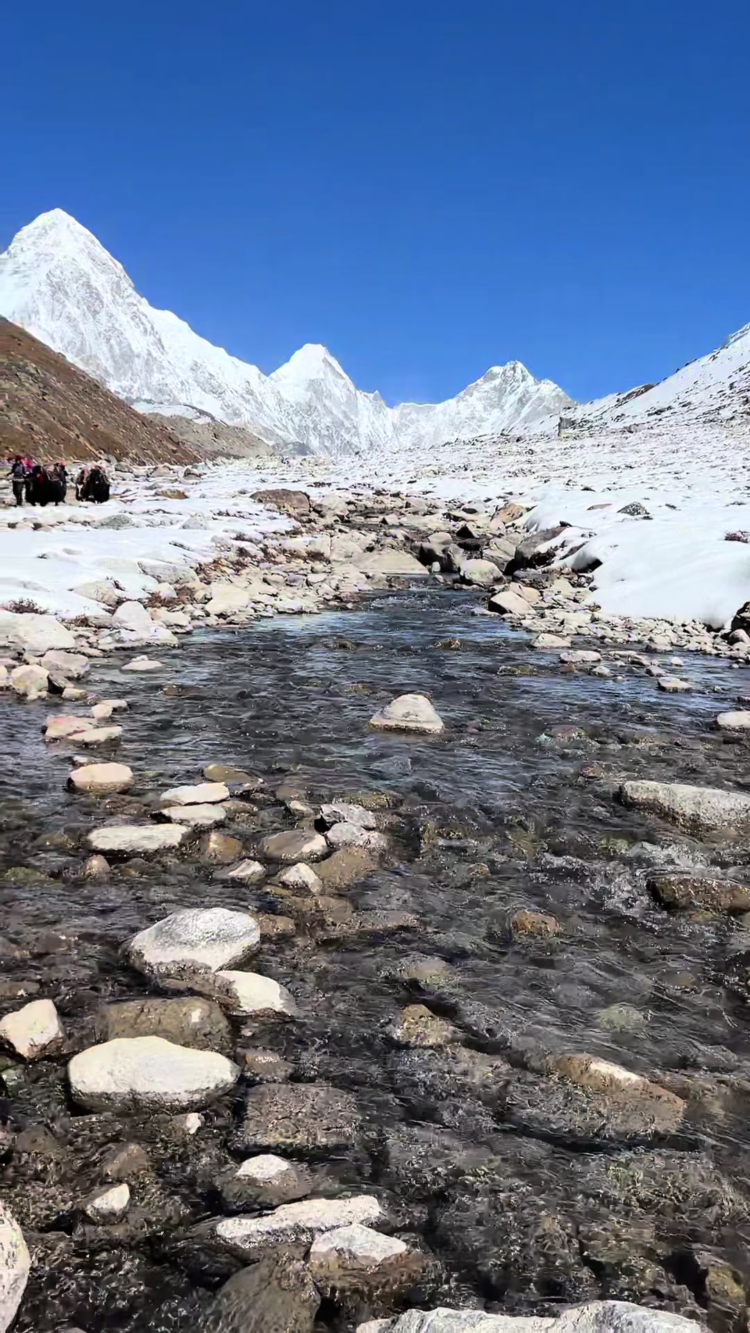 @Nepal Mountain Guides 🇳🇵