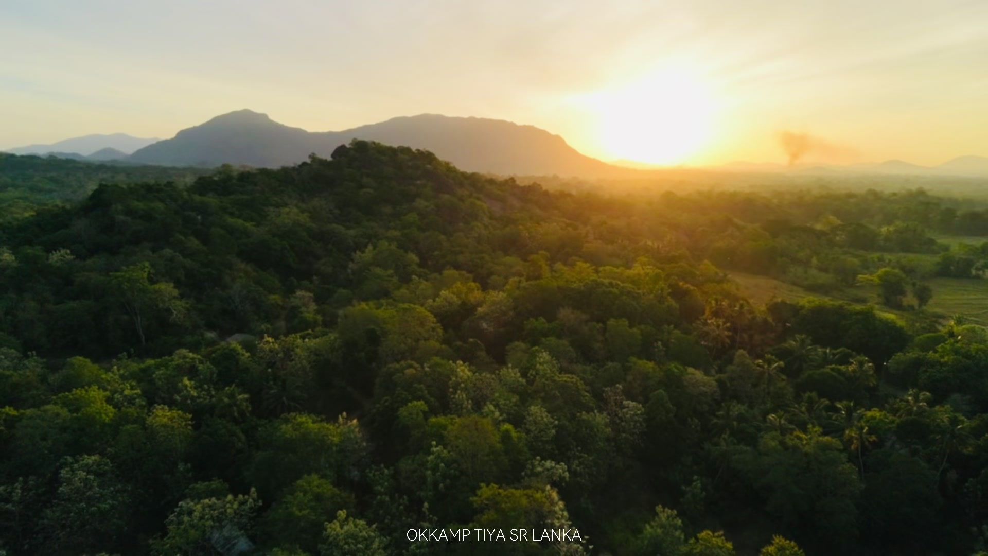 @මදු වා