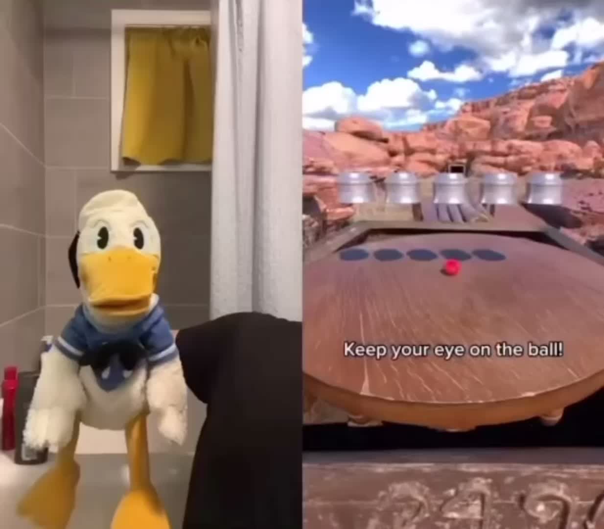 @DonaldDucc Archive ✅