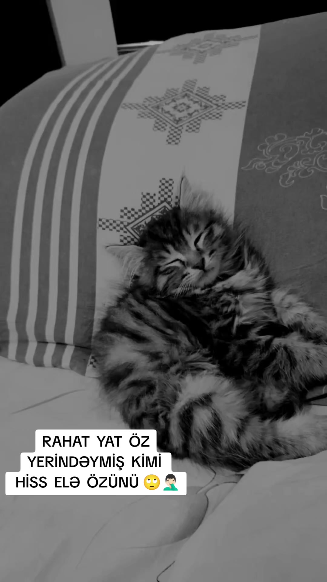 @💙CƏNAB AKŞİN💙