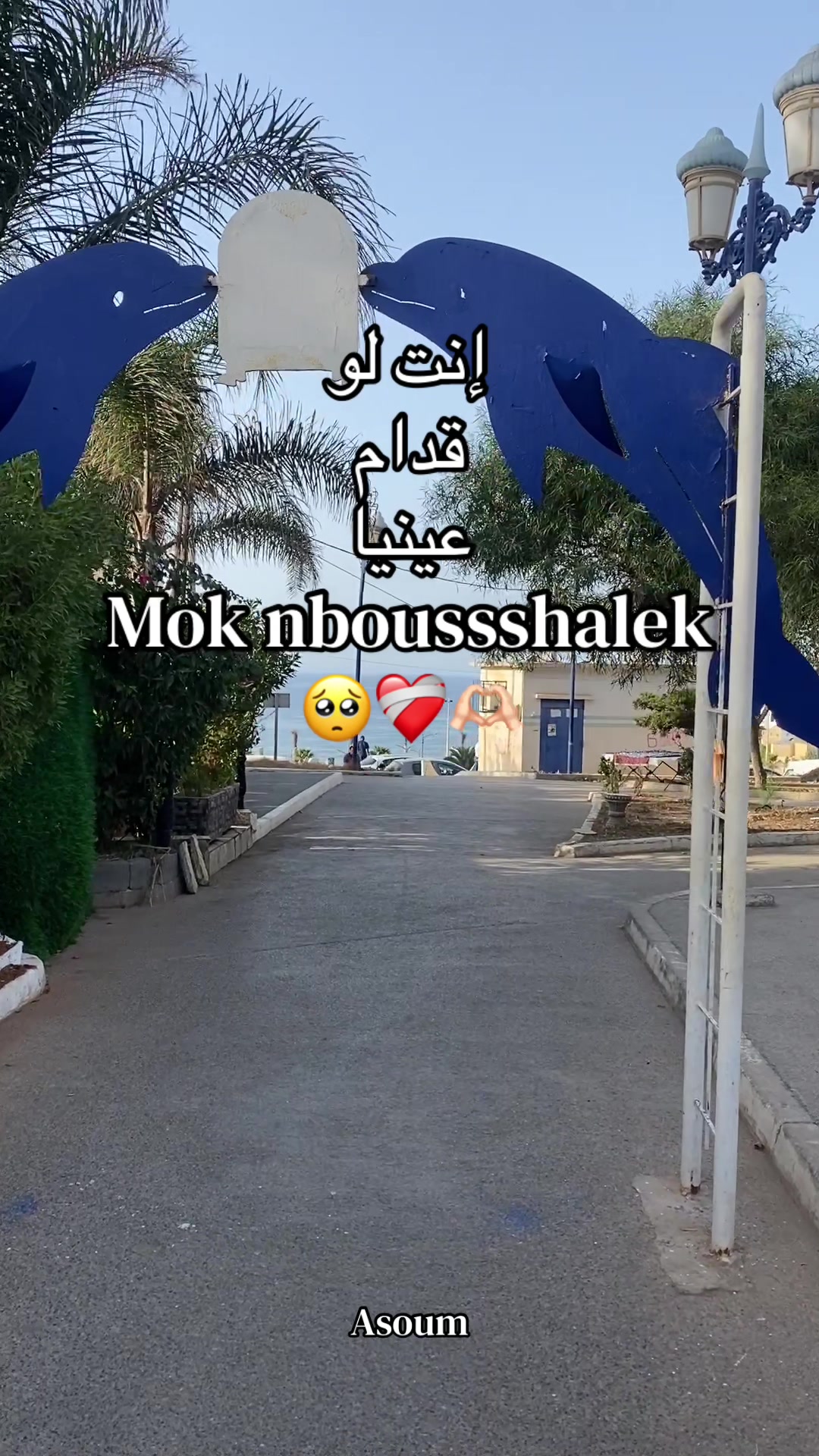 @🩷دودَاحَة🩷Asøum🩷
