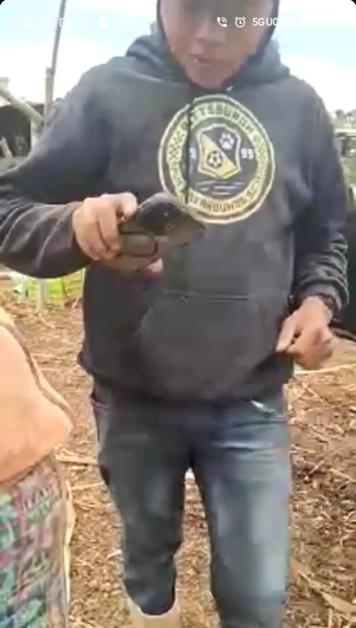 @Martín1982