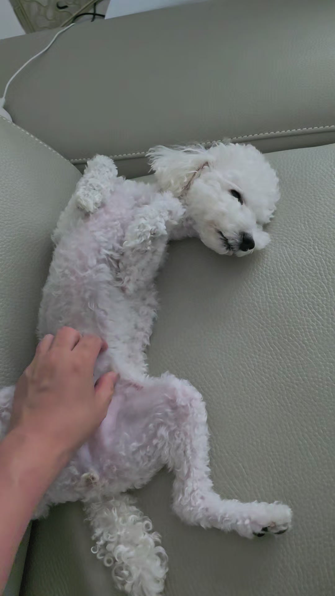 @코우