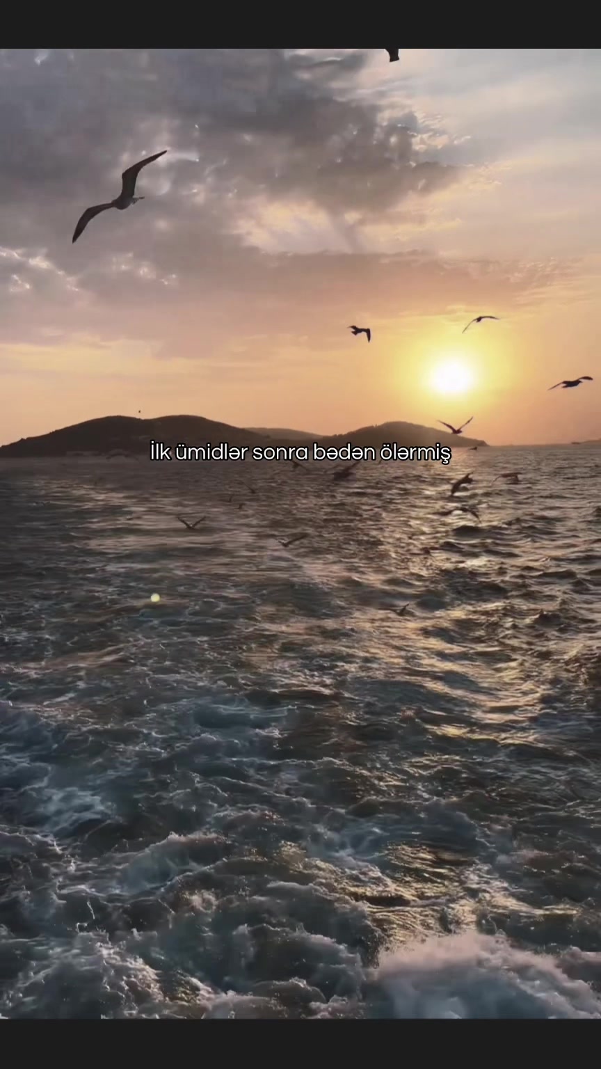 @𝓐𝔁𝓾𝓷𝓭𝓸𝔀𝓼𝓼 🔹