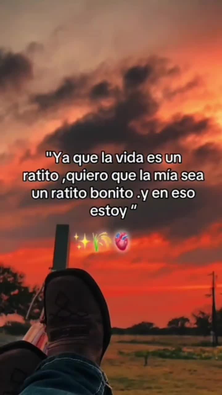 @Bere86🌹
