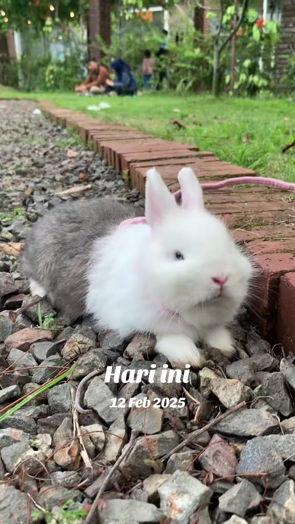 @STR Bunny✨
