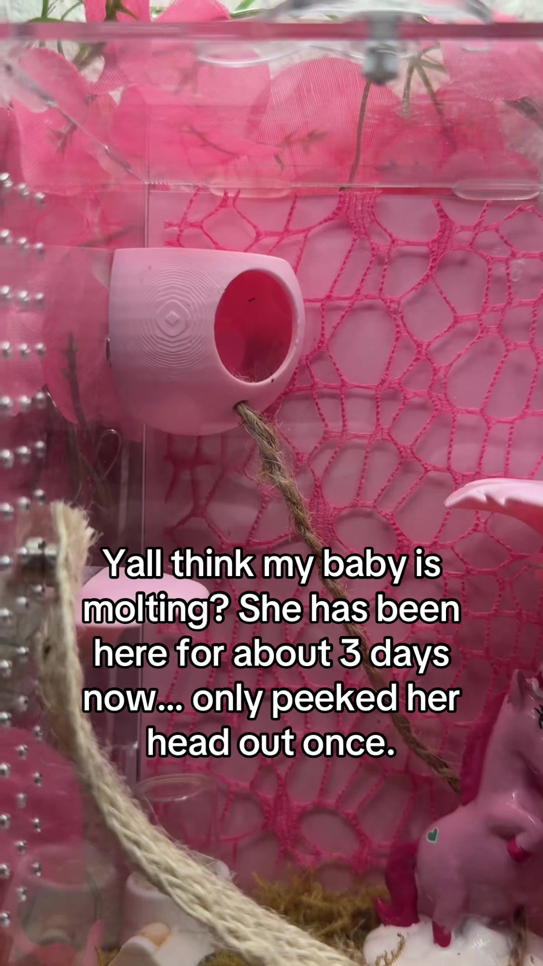 @Otis Reynolds
