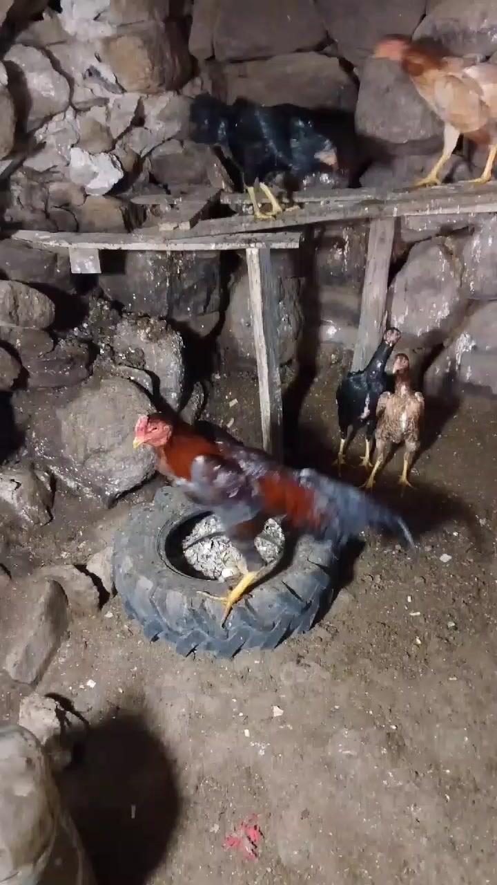 @ORDULU MÜSLÜM