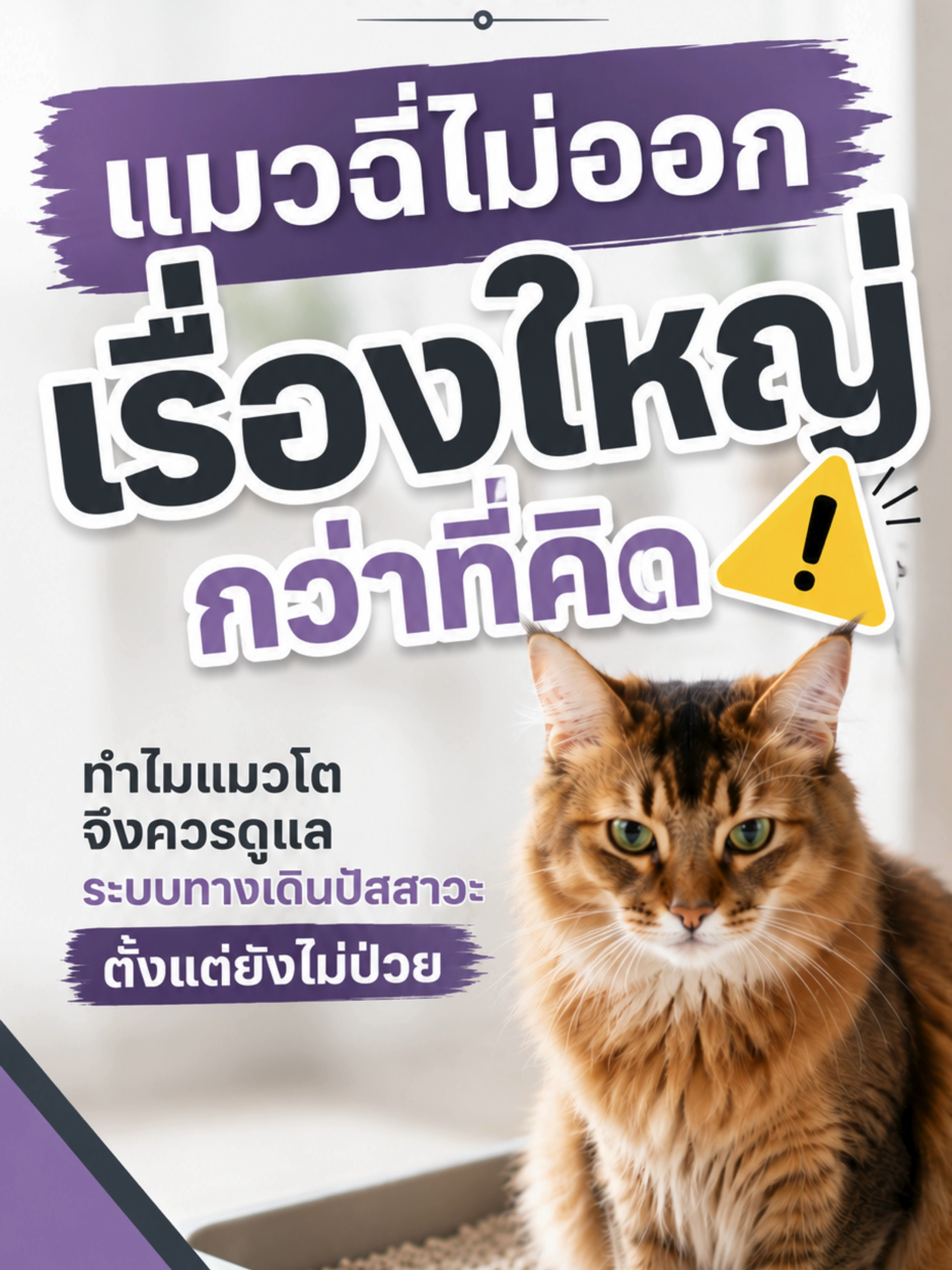 @WelovepetsbyPamornchaiSupply