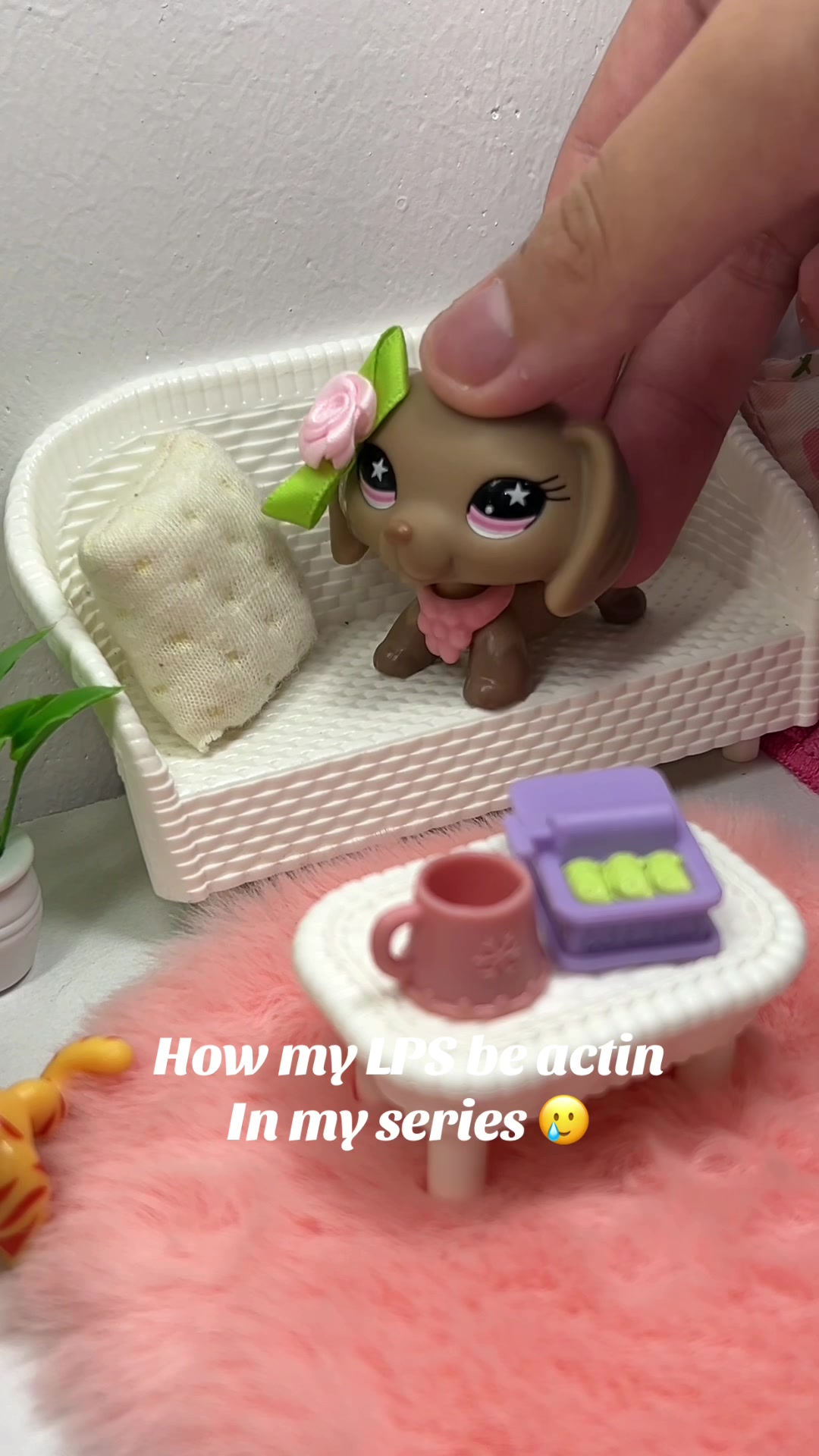 @Old Lps Evie Account