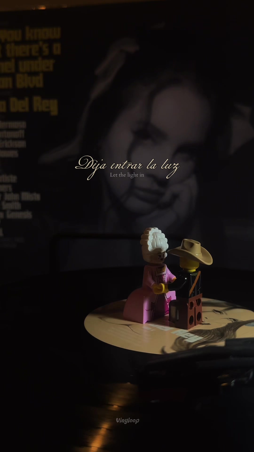 @VinyLoop