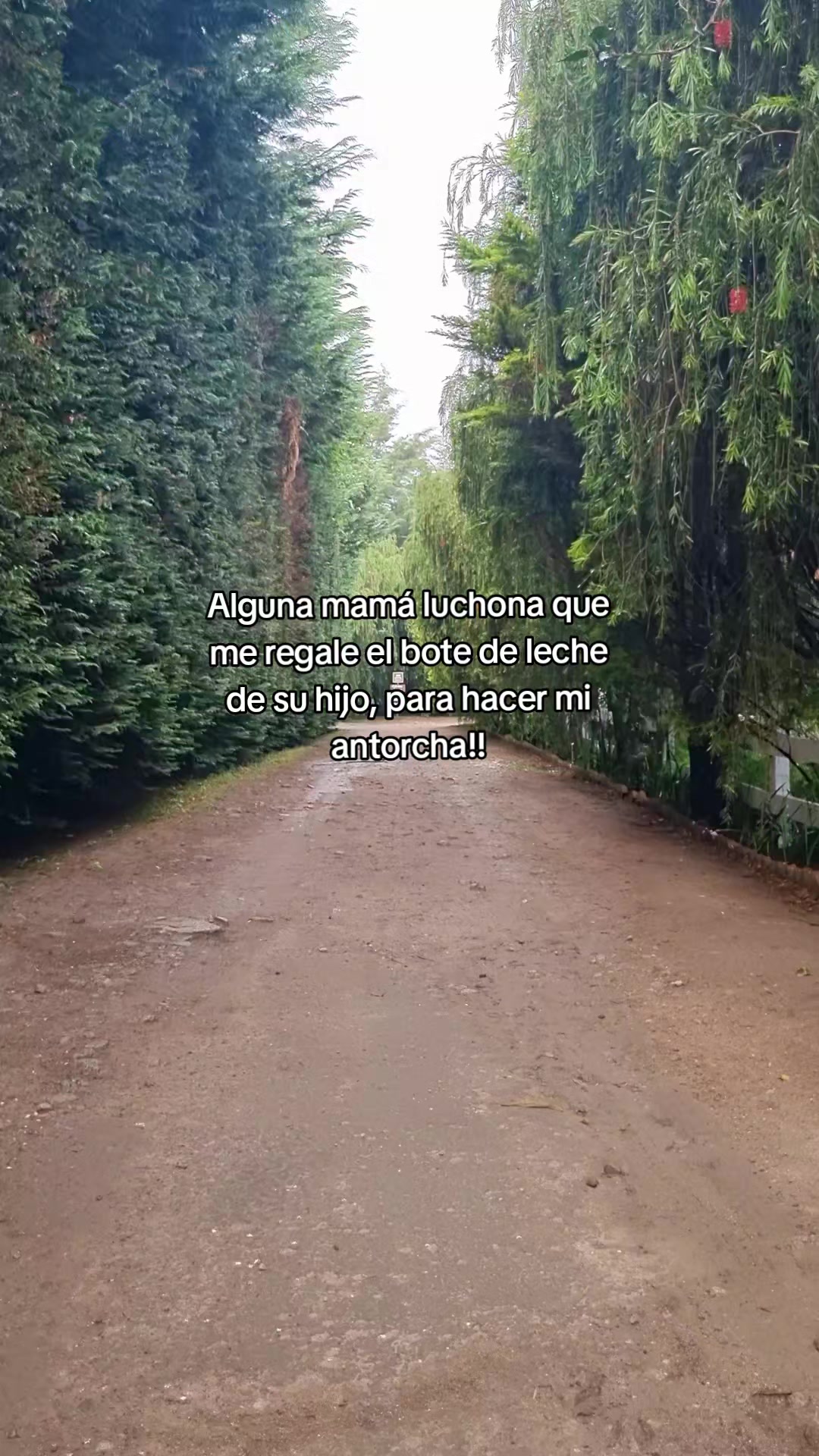 @Johnny Chopén