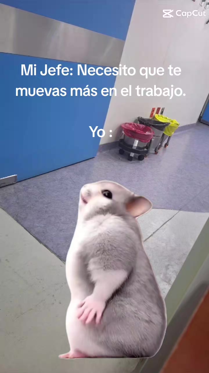 @Ali