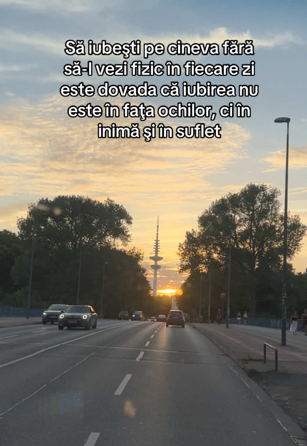 @Tavi🧸