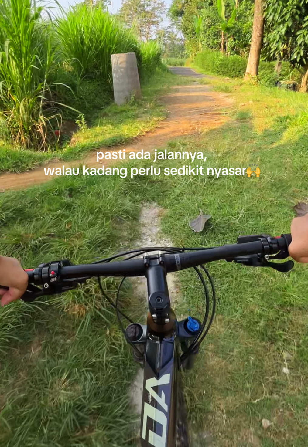 @soto sapiii