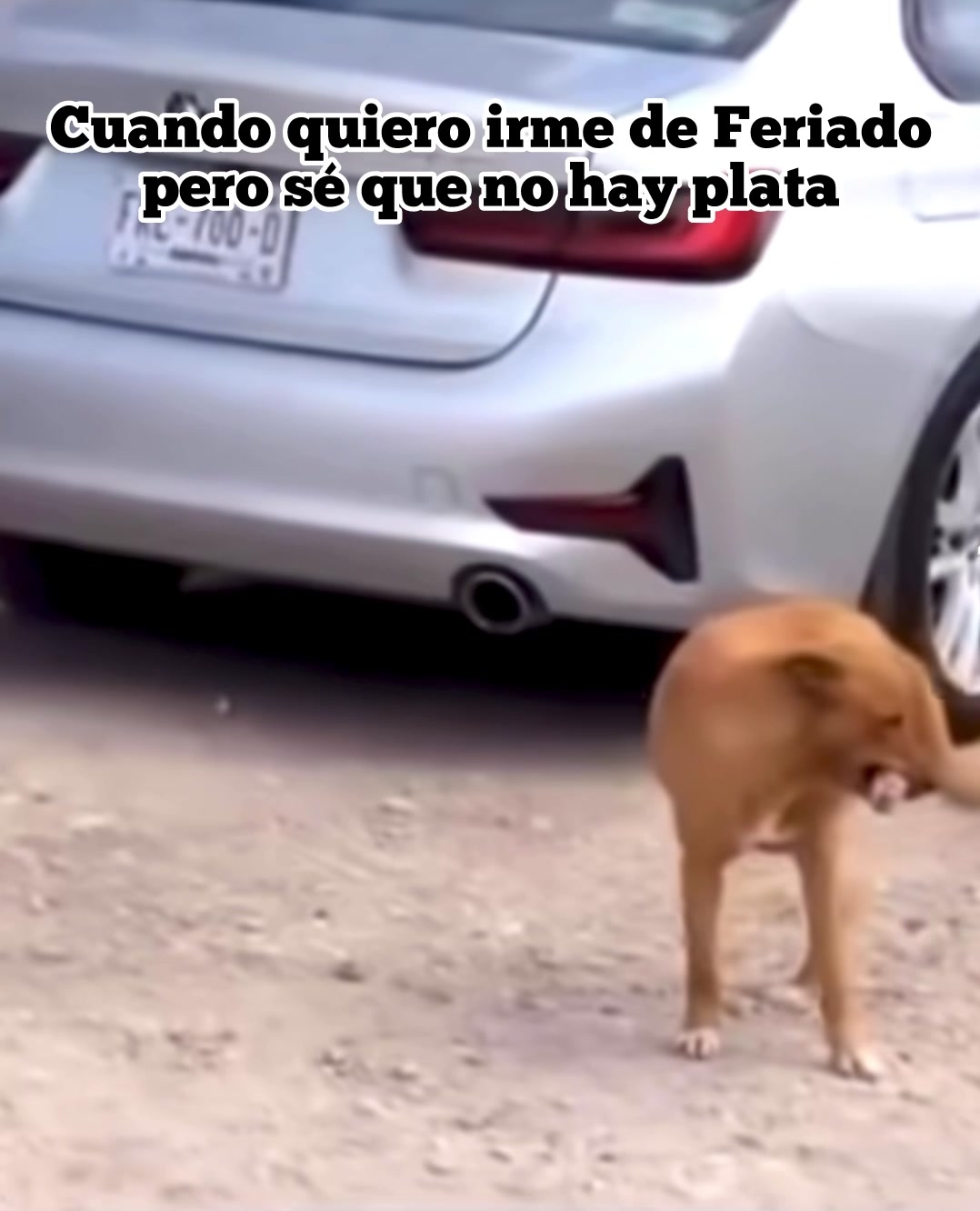 @El Pablito Molina