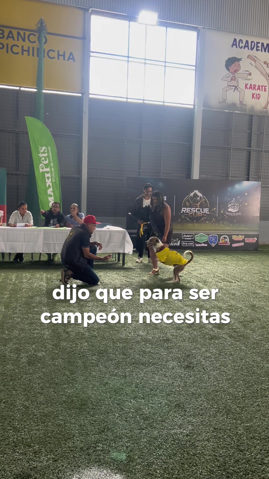 @amigosdelucas