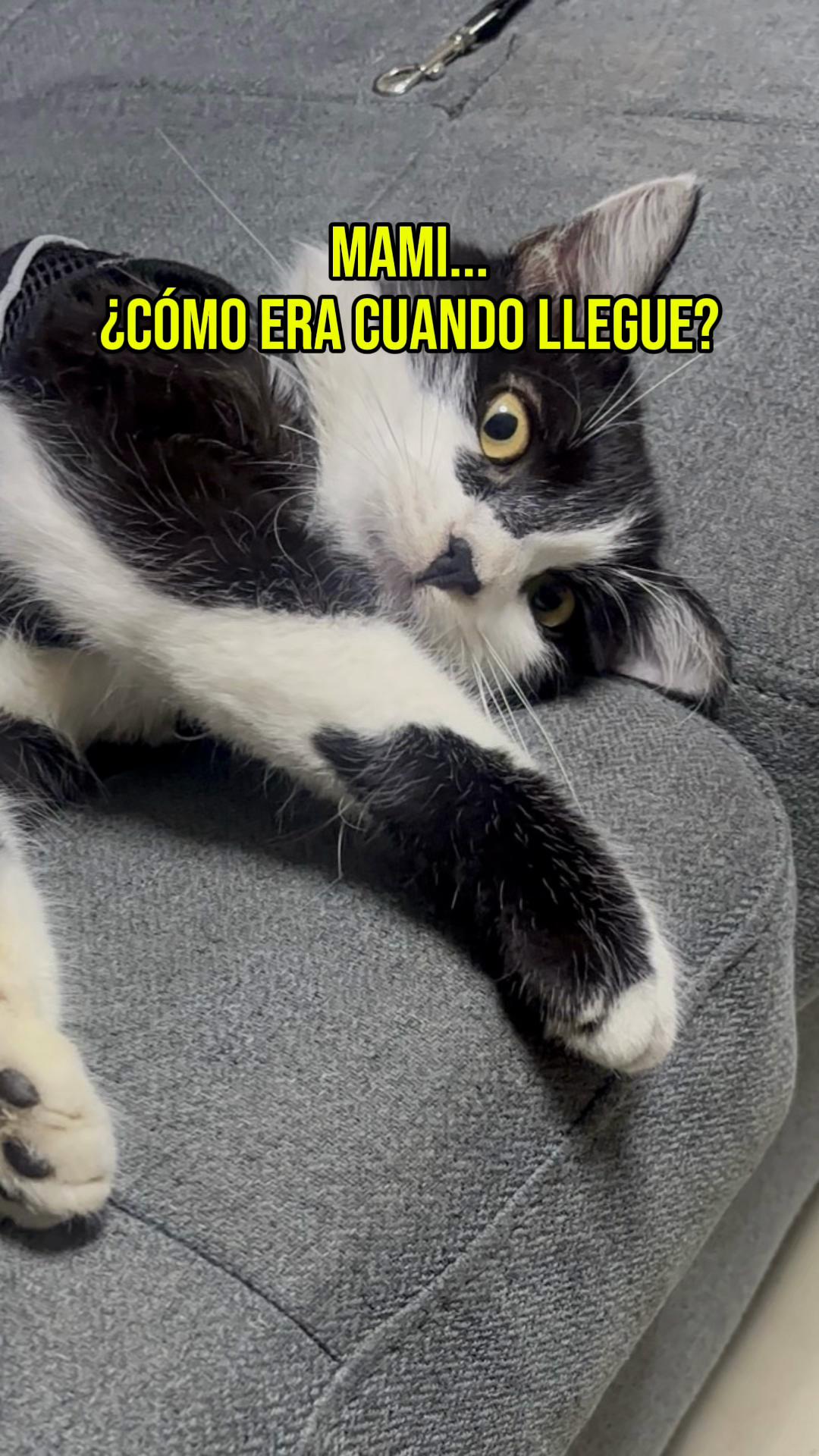 @Laura Reyes Gonzalez