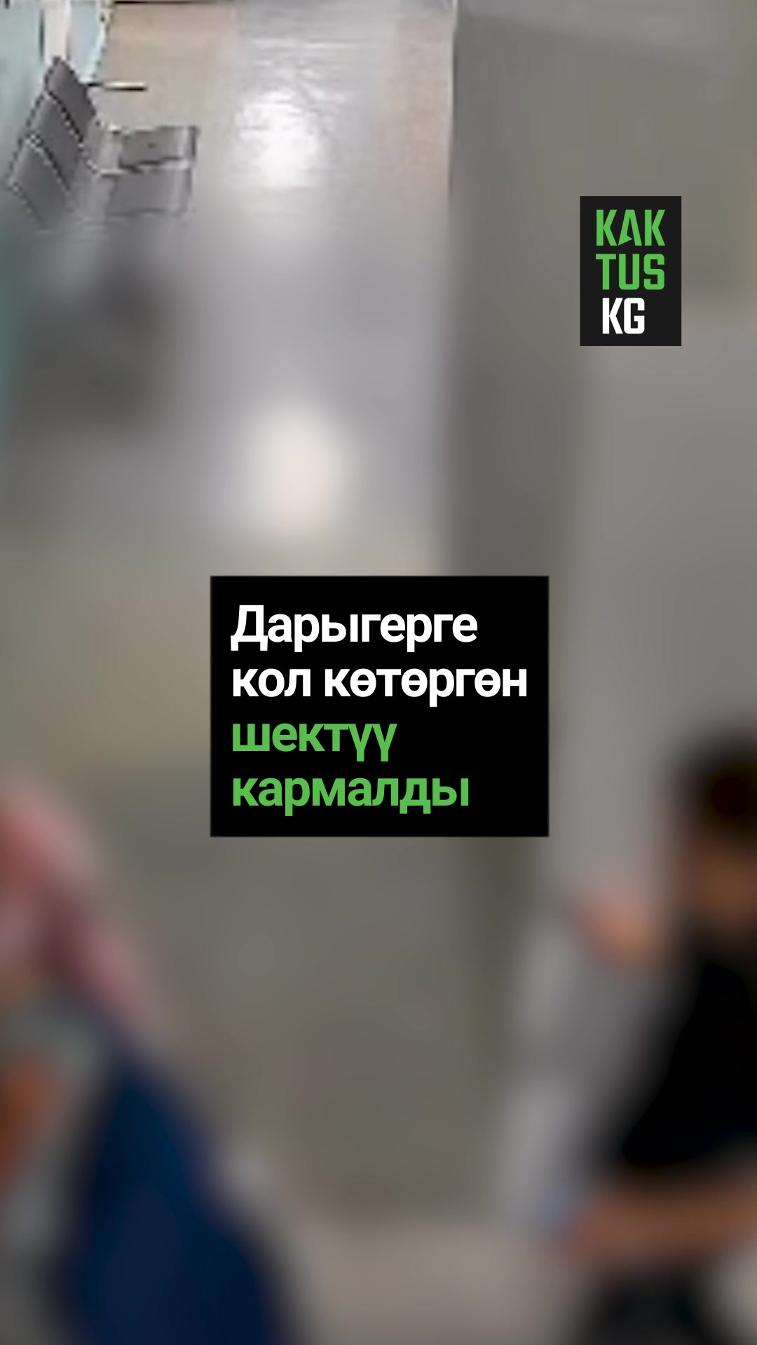 @Kaktus KG