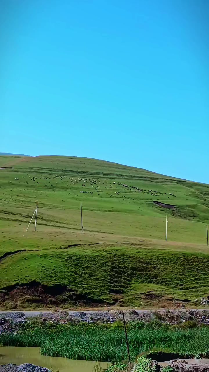 @B&uuml;rhan...