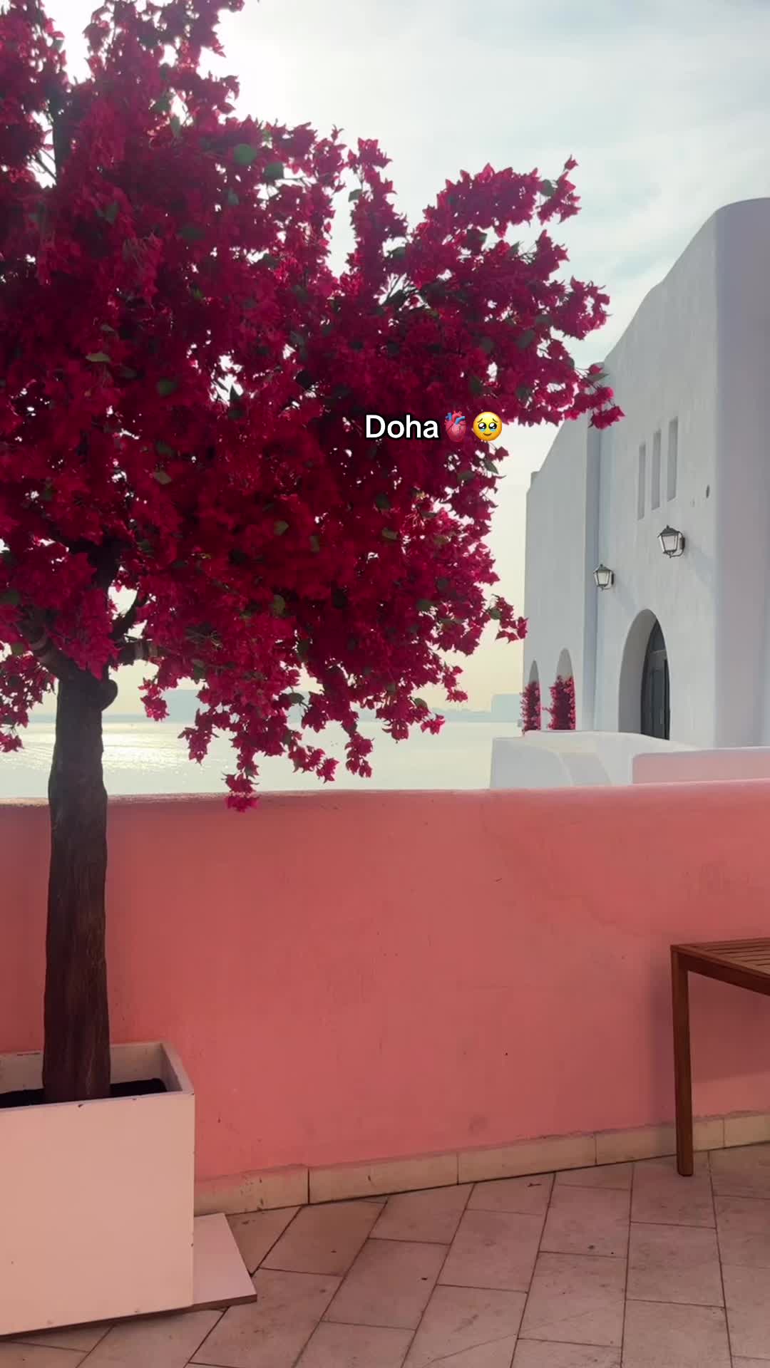 @lolo_yemen