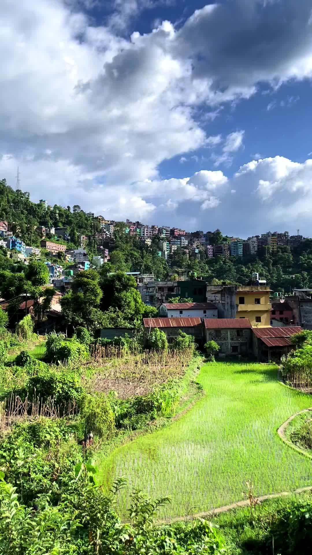 @Utsab Bhattarai ▶️