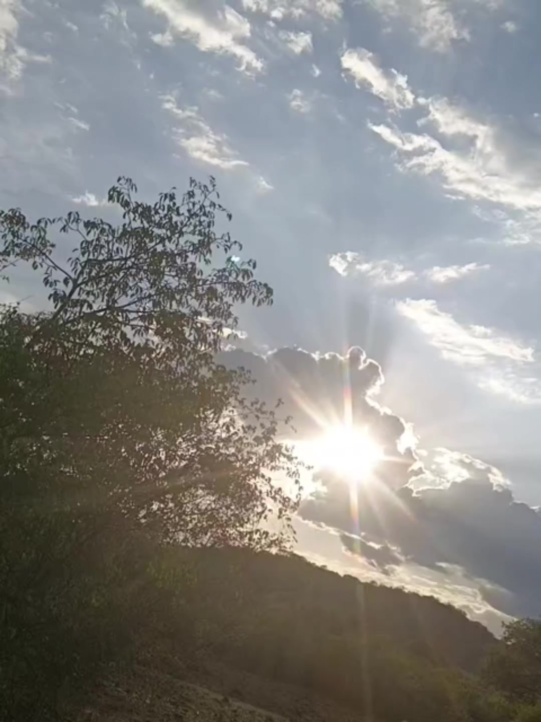 @Jô
